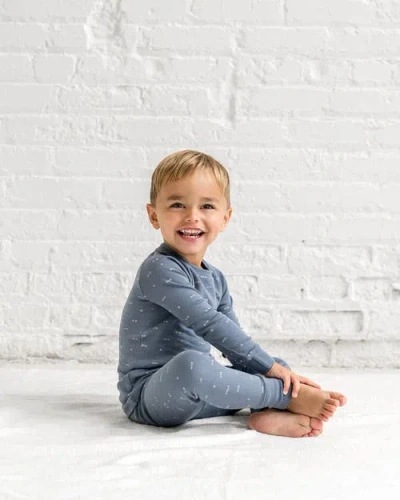 Colored Organics Organic Cotton 2 Piece Long Sleeve Jammie Set In Blue