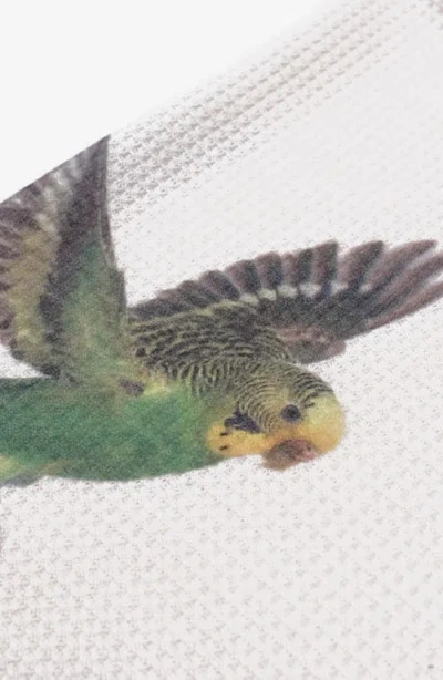 Students Tremonton Layered Look Graphic T-shirt In Black