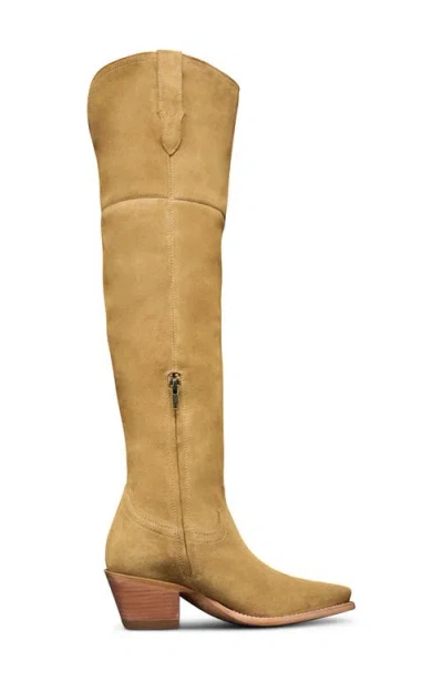 Tecovas Bailey Sahara Over The Knee Boot In Brown