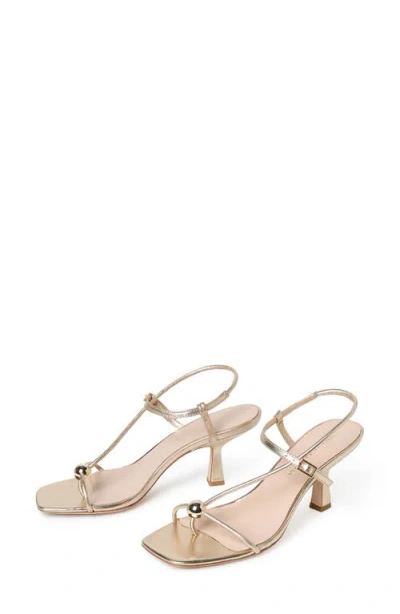 Loeffler Randall Triana Strappy Mid-heel Sandals With Ball Champagne In Neutral