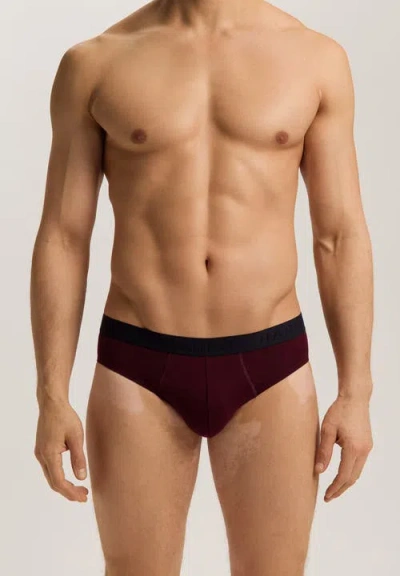 Hanro Cotton Essentials 2-pack Cotton Briefs In Multi
