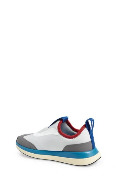 Native Shoes Robbie Dash Slip-on Sneaker In Multi