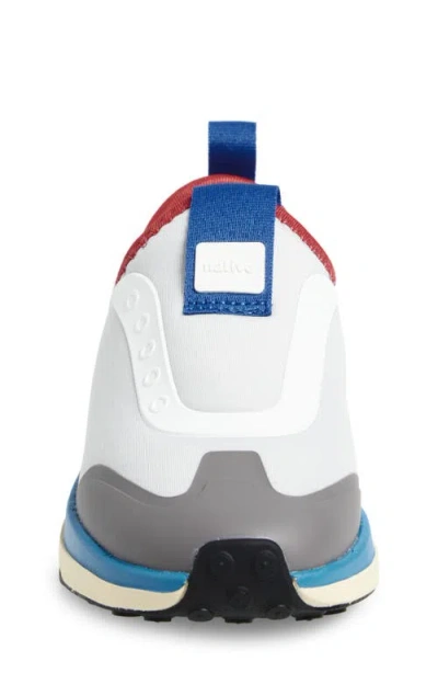 Native Shoes Robbie Dash Slip-on Sneaker In Multi