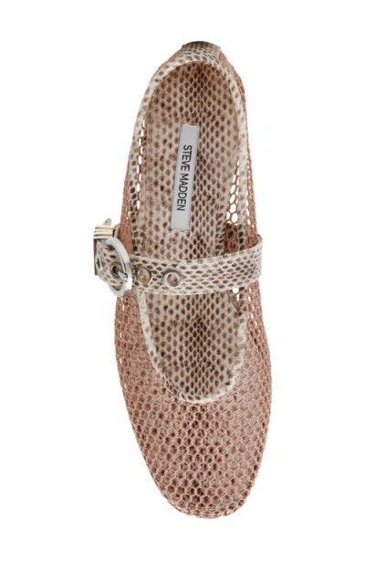 Steve Madden Lucia Mary Jane Flat In Brown