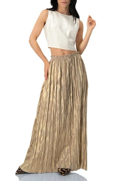Ivonne Pleated Maxi Skirt In Gold