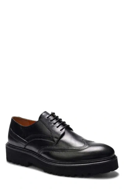 A. Veer Hadley Wingtip In Black