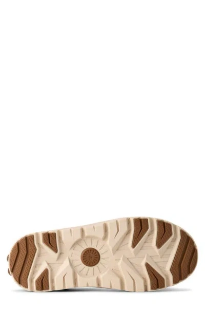Ugg Cl Ultra Mini Weathe Ankle Boots In Leather Color Suede In Brown
