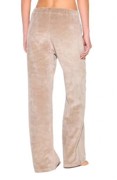Spiritual Gangster Mauve Velour Sweatpants In Gray