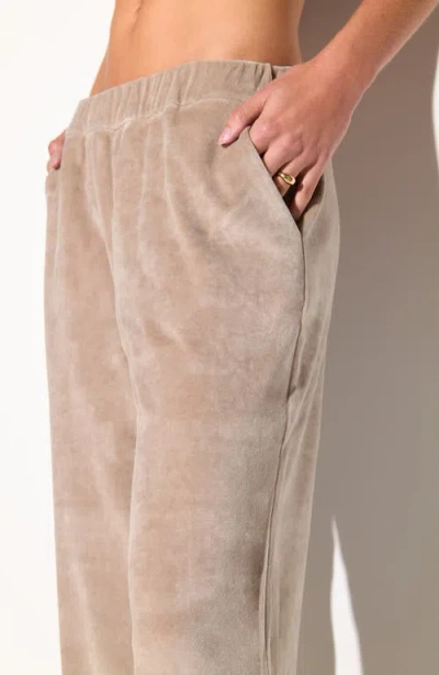 Spiritual Gangster Mauve Velour Sweatpants In Gray