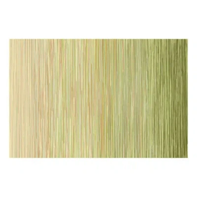 Kaplan Early Learning Company Sense Of Place Nature's Stripes Green Carpet In Green