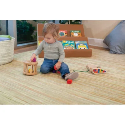 Kaplan Early Learning Company Sense Of Place Nature's Stripes Green Carpet In Green
