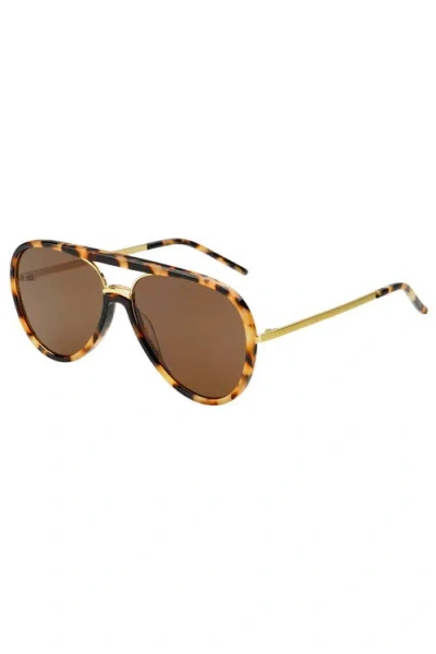 Freyrs Eyewear Shay Aviator Sunglasses In Brown