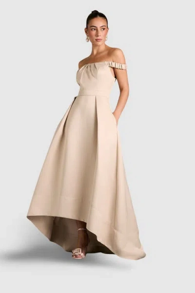 Coast Bardot Fit & Flare Hi-low Maxi Dress In Gray