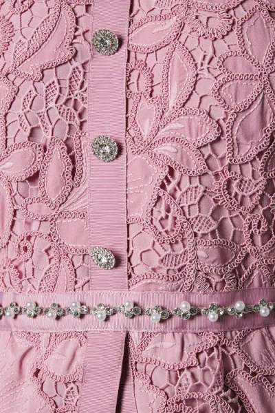 Coast Lace Top Pleat Skirt Jewel Button Dress In Pink