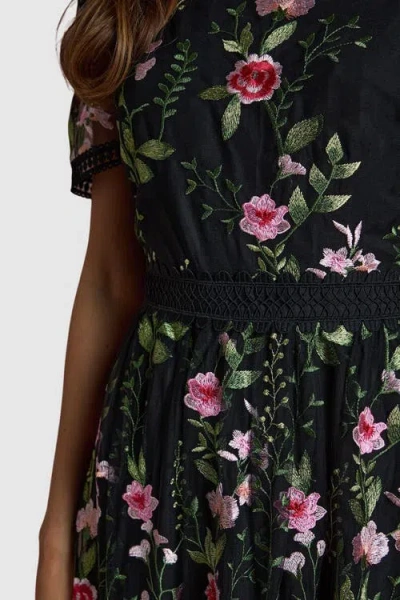 Coast Lace Trim Embroidered Mesh Midi Dress In Multi