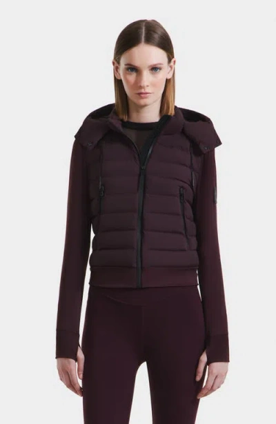 Rudsak Cassa Light Down & Neoprene Crop Jacket In Burgundy