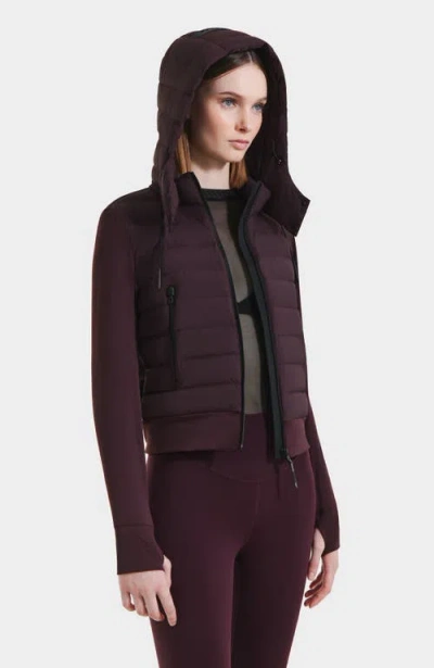 Rudsak Cassa Light Down & Neoprene Crop Jacket In Burgundy