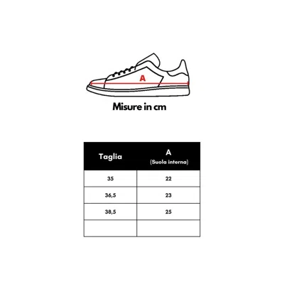 Casadei Fuchsia Fabric And Leather Low Top Women's Sneakers In Pink