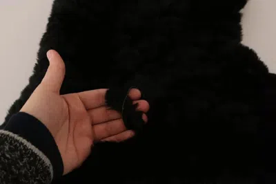 Dolce & Gabbana Black Silver Fox Fur Cashmere Hooded Scarf In Black