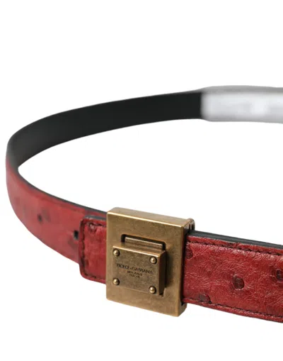 Dolce & Gabbana Brown Leather Square Metal Buckle Women's Belt In Brown