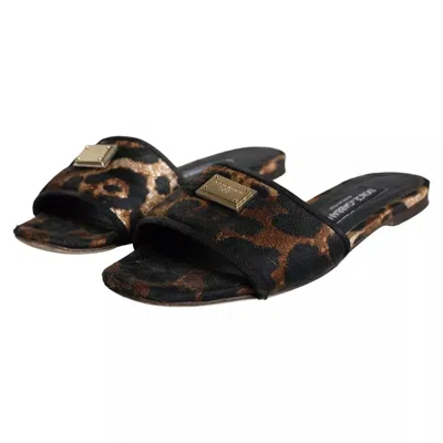Pre-owned Dolce & Gabbana Brown Leopard Logo Slides Flats Sandals Women's Shoes ()