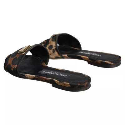 Pre-owned Dolce & Gabbana Brown Leopard Logo Slides Flats Sandals Women's Shoes ()