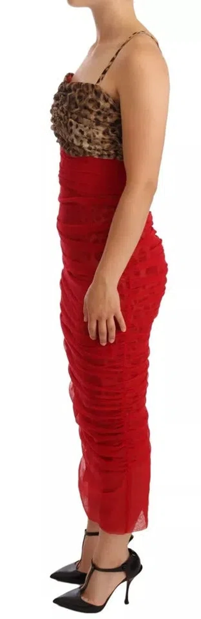 Dolce & Gabbana Brown Leopard Red Tulle Sheath Midi Women's Dress In Animal Print