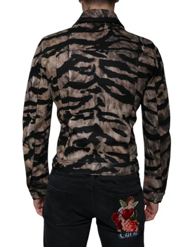 Dolce & Gabbana Brown Tiger Button Down Collared Jacket In Black
