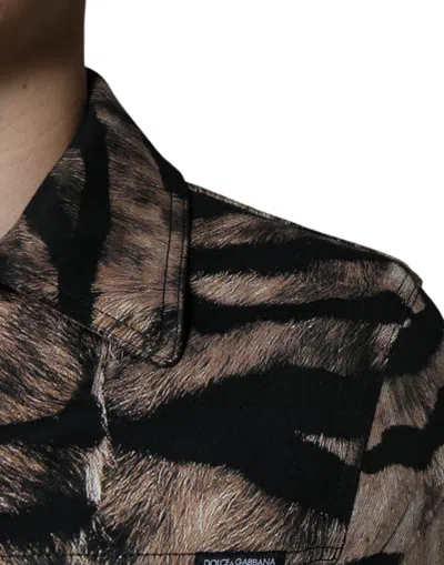 Dolce & Gabbana Brown Tiger Button Down Collared Jacket In Black