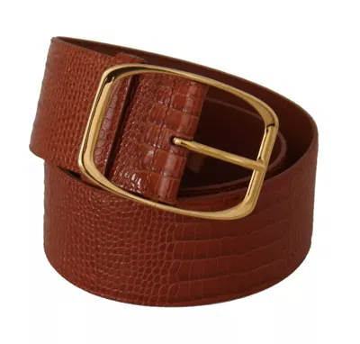 Pre-owned Dolce & Gabbana Brown Wide Waist Design Leather Gold Metal Buckle Women's Belt ()
