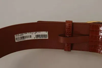 Pre-owned Dolce & Gabbana Brown Wide Waist Design Leather Gold Metal Buckle Women's Belt ()