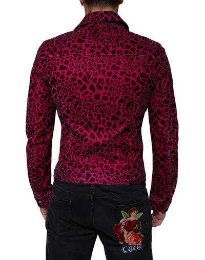 Dolce & Gabbana Fuchsia Leopard Button Down Collared Jacket In Red