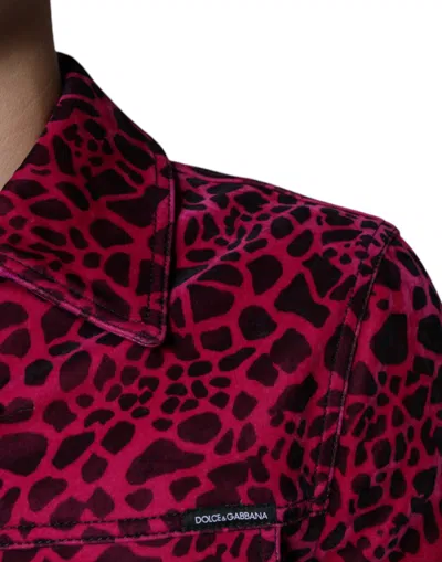 Dolce & Gabbana Fuchsia Leopard Button Down Collared Jacket In Red