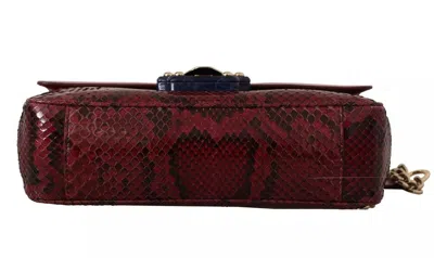 Pre-owned Dolce & Gabbana Pink Red Exotic Skins Gold Chain Purse Lucia Leather Women's Bag ()