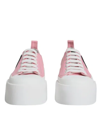 Dolce & Gabbana Pink White Canvas Logo Low Top Sneakers Shoes In Pink