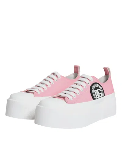 Dolce & Gabbana Pink White Canvas Logo Low Top Sneakers Shoes In Pink