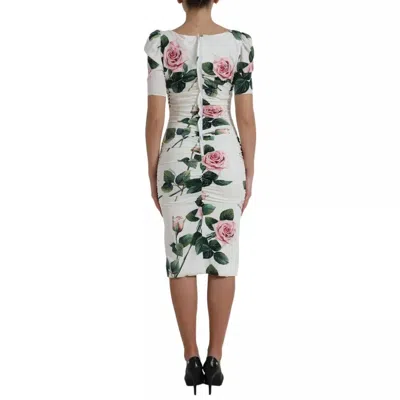 Pre-owned Dolce & Gabbana White Roses Print Stretch Silk Pleated Women's Dress ()