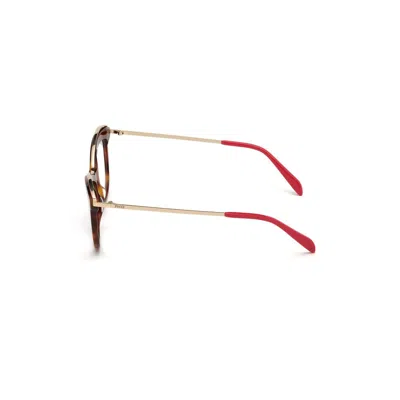 Pucci Brown Acetate Frames In Brown