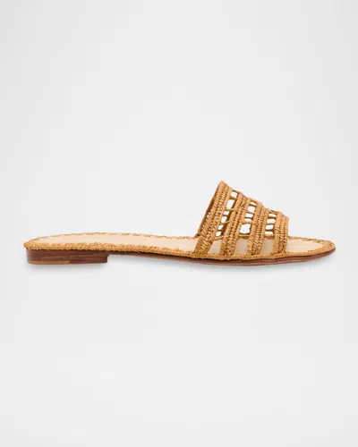 Carrie Forbes Alana Raffia Flat Slide Sandals In Gold
