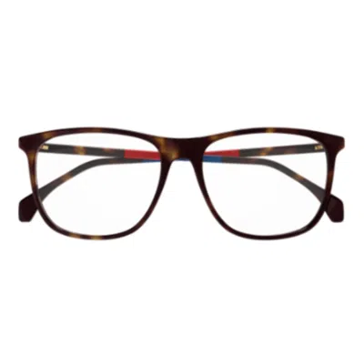 Gucci Gg0554o-010havana-havana-transparent In Brown