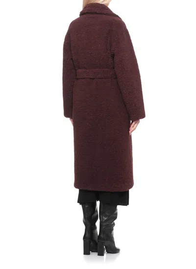 Betta Corradi Lapel-collar Belted Coat In Brown