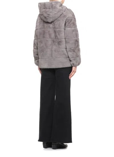 Betta Corradi Hooded Faux-fur Jacket In Gray