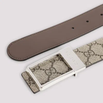 Gucci Belt Men In Multi