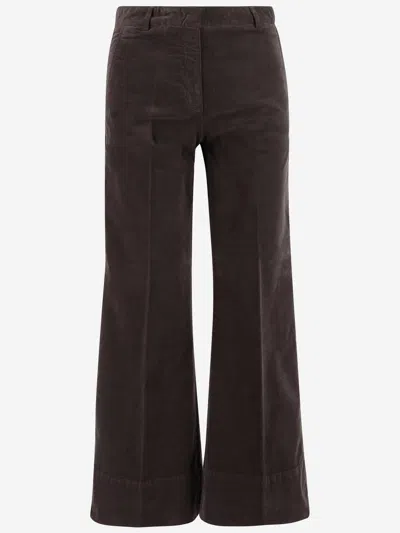 Ql2 Stretch Cotton Melody Pants In Brown
