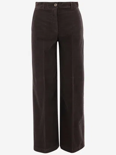 Ql2 Mami Stretch Cotton Pants In Brown
