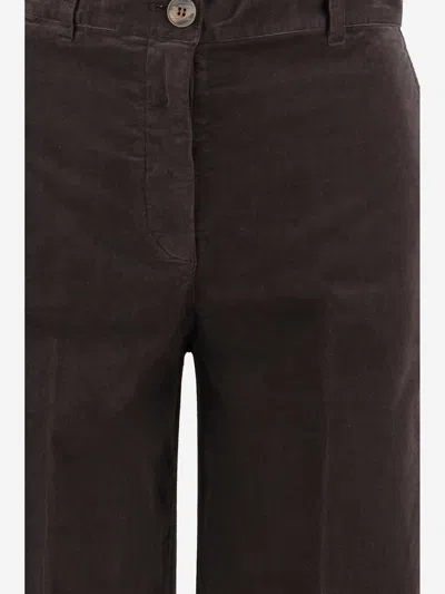Ql2 Mami Stretch Cotton Pants In Brown