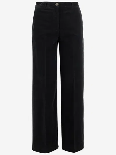 Ql2 Mami Stretch Cotton Pants In Black
