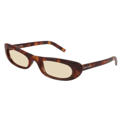 Saint Laurent Sl 557 Shade008-havana-havana-brown In Brown