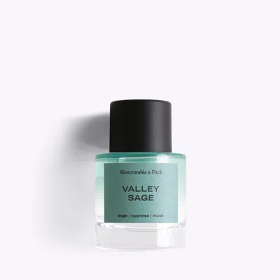 Abercrombie & Fitch Valley Sage In Transparent