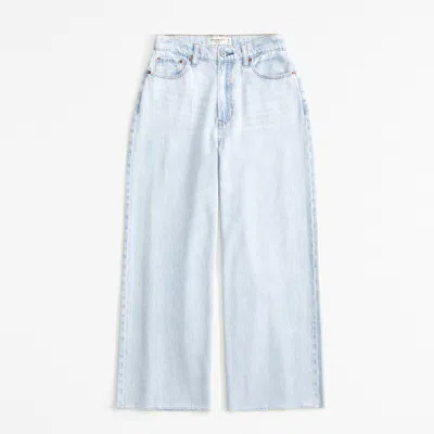 Abercrombie & Fitch Curve Love High Rise Cropped Wide Leg Jean